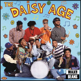 Various Artists - The Daisy Age (2LP)