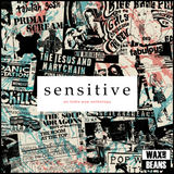 Various Artists - Sensitive: An Indie Pop Anthology (2LP)