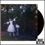 Wolf Alice - Visions Of A Life (1LP)